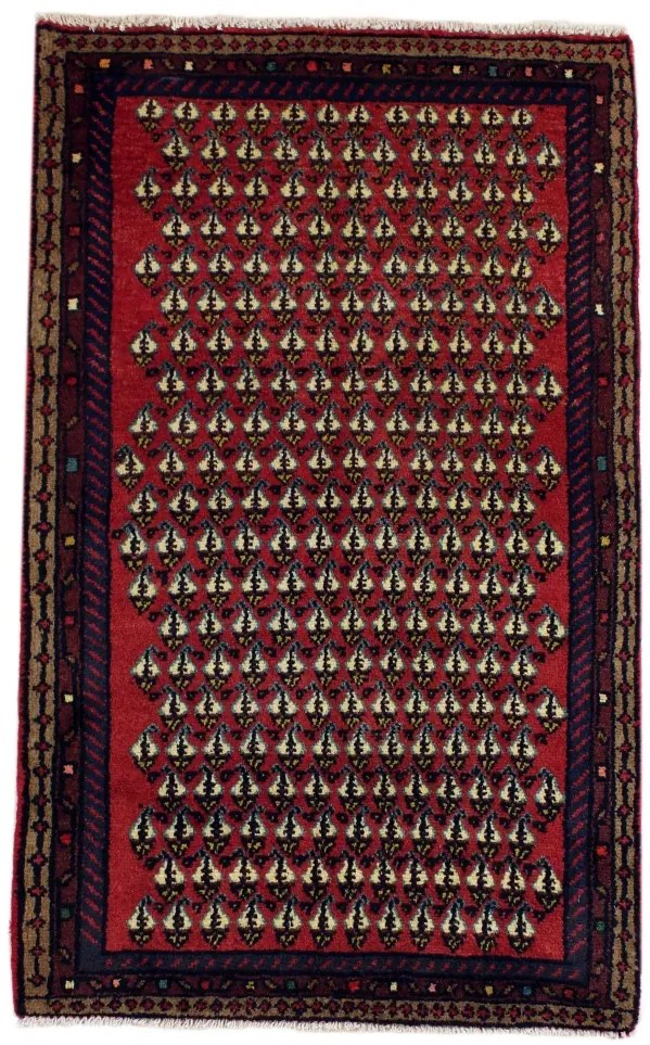 Hamedan Tappeto 80 x 130 (Iran)