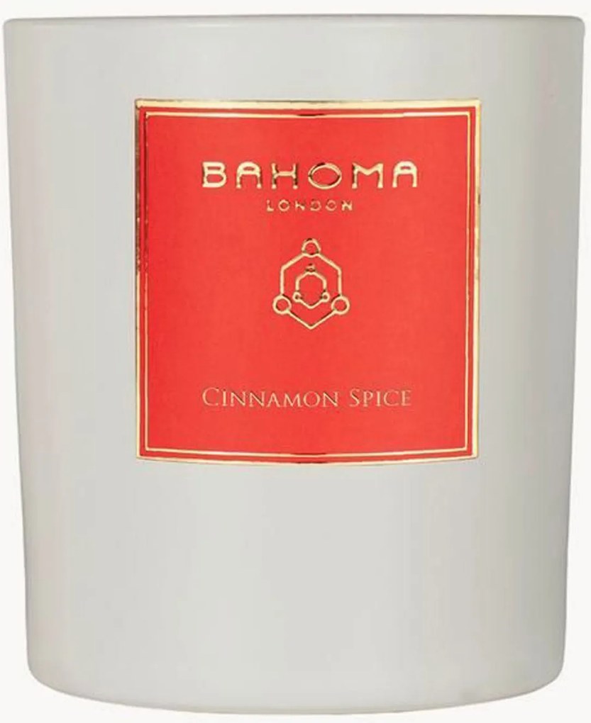 Candela profumata Cinnamon Spice (mandarino, cannella)