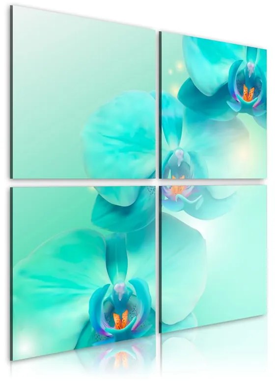 Quadro L'azzurro di un orchidea  Colore Turchese, Dimensioni e Misure 90x90