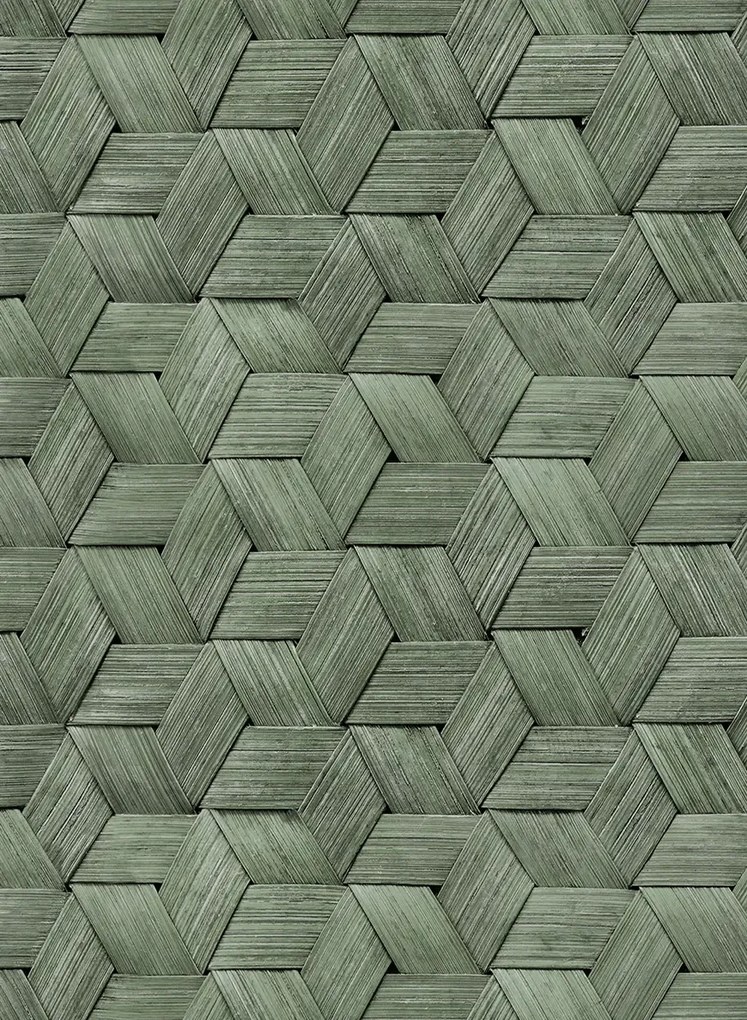 Rebel Walls Carta da parati Small Birch Bark Braids - Forest Green