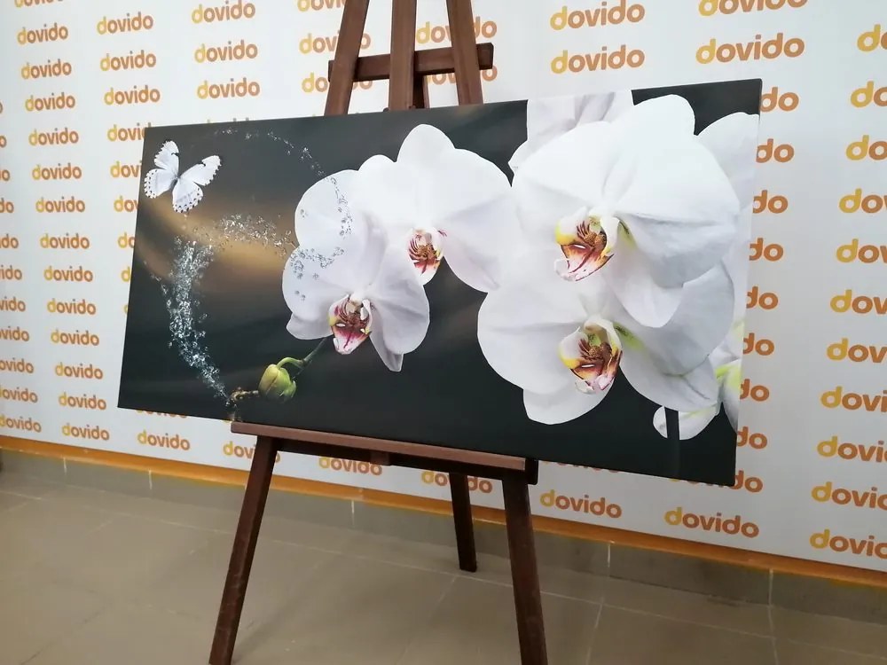 Quadro su tela – Orchidea e farfalla