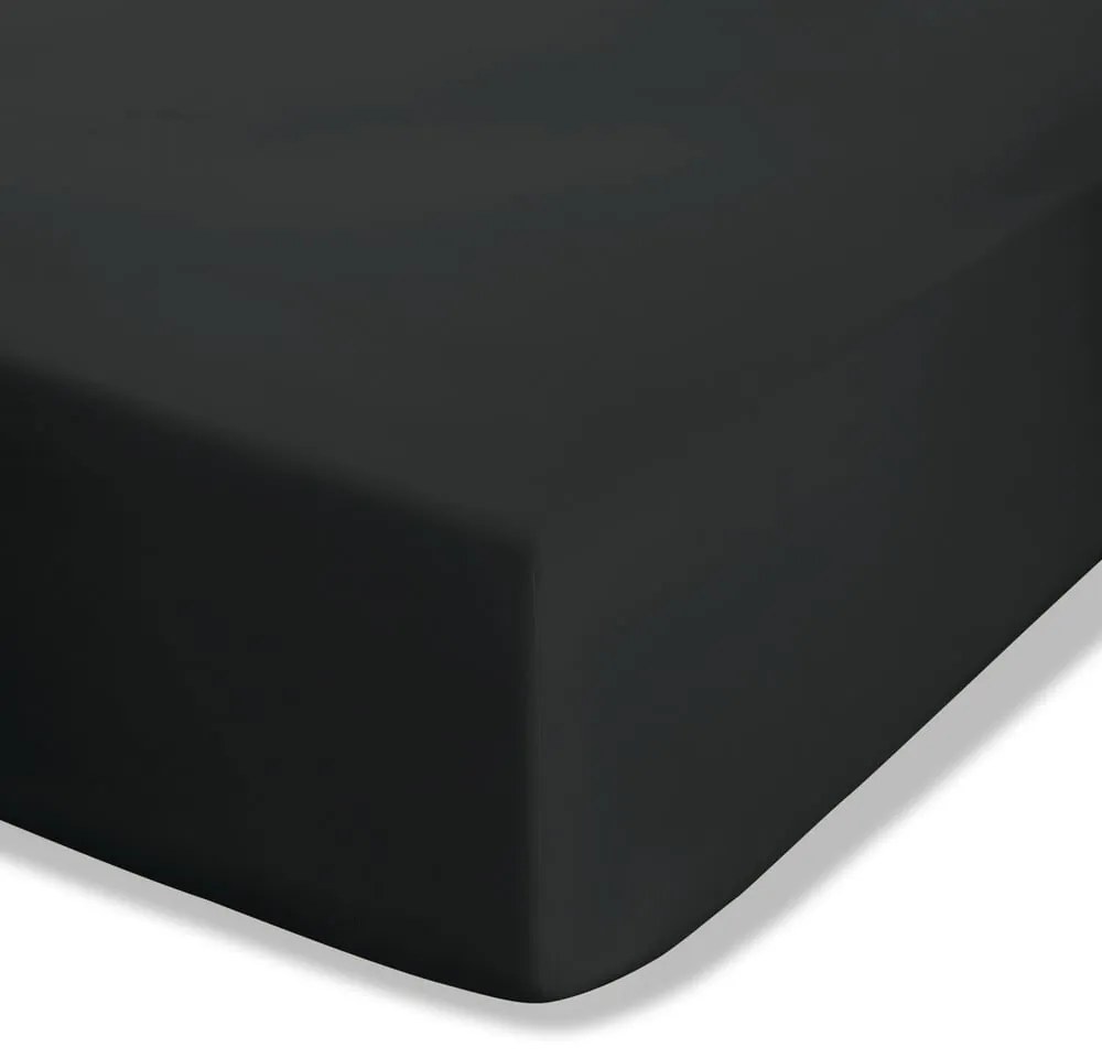 Lenzuolo con angoli nero in percalle 90x190 cm Easy Iron Percale – Catherine Lansfield