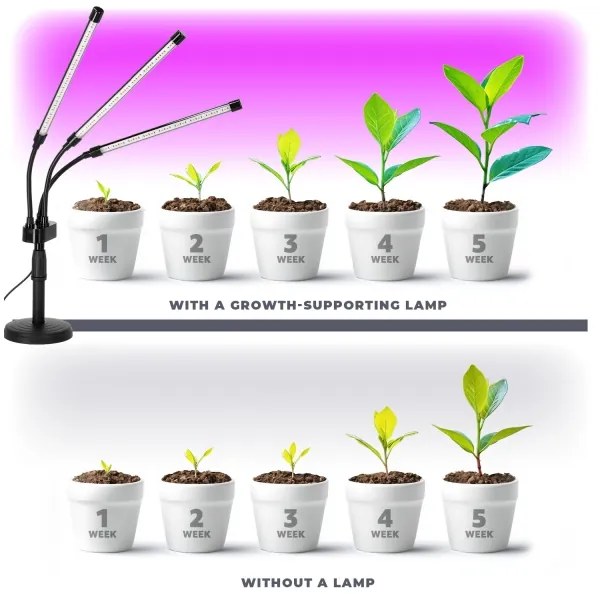 Brilagi - LED Lampada dimmerabile per la coltivazione di piante VITABLOOM 3xLED/10W/230V