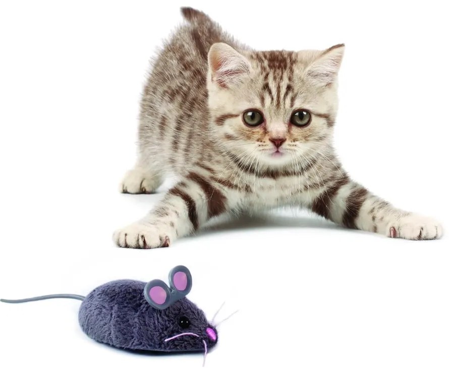 Mouse robotico per gatti - HEXBUG