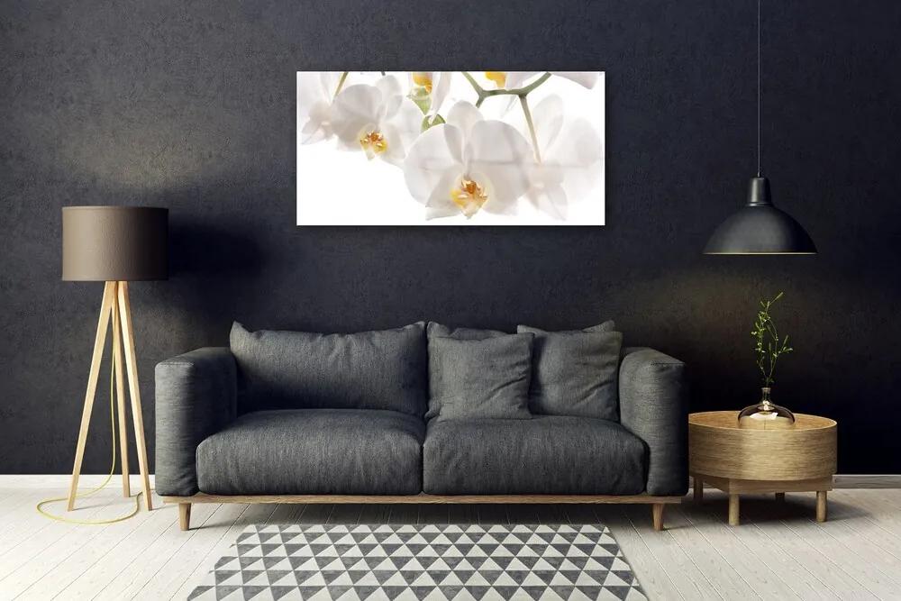 Quadro in vetro Orchidea Fiori della natura 100x50 cm