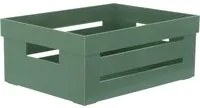 Cassetta multiuso 2L 20x15 cm verde