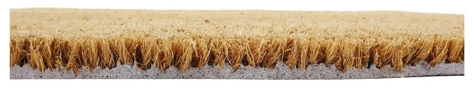 Stuoia di cocco naturale, 40 x 60 cm Dachshund - Artsy Doormats
