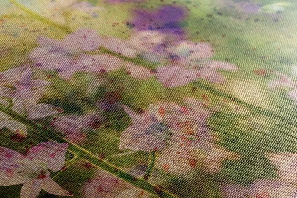 Quadro su tela – Disegno acquerellato di piante di montagna