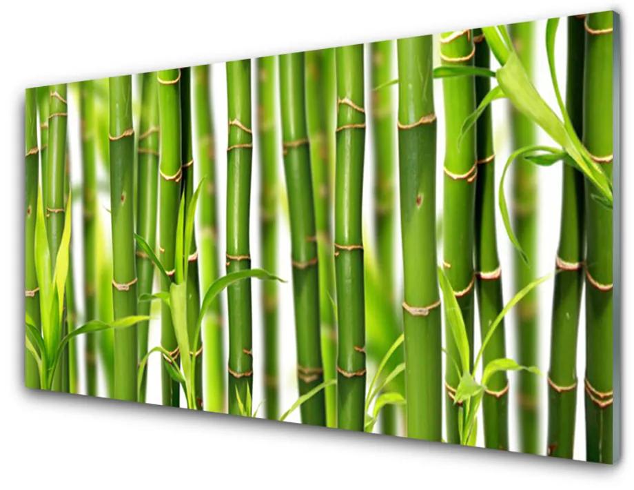 Quadro in vetro Steli di foglie di bambù Bambù 100x50 cm