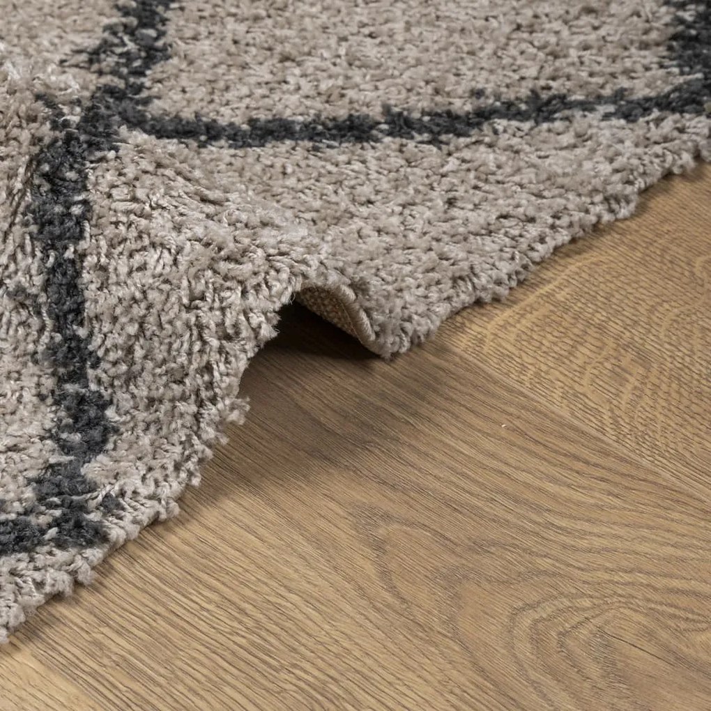 Tappeto Shaggy Pelo Lungo Moderno Beige e Antracite 300x400 cm