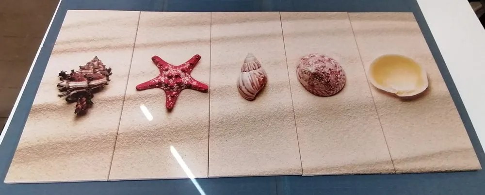 Quadri 5 pezzi – Conchiglie sulla spiaggia sabbiosa