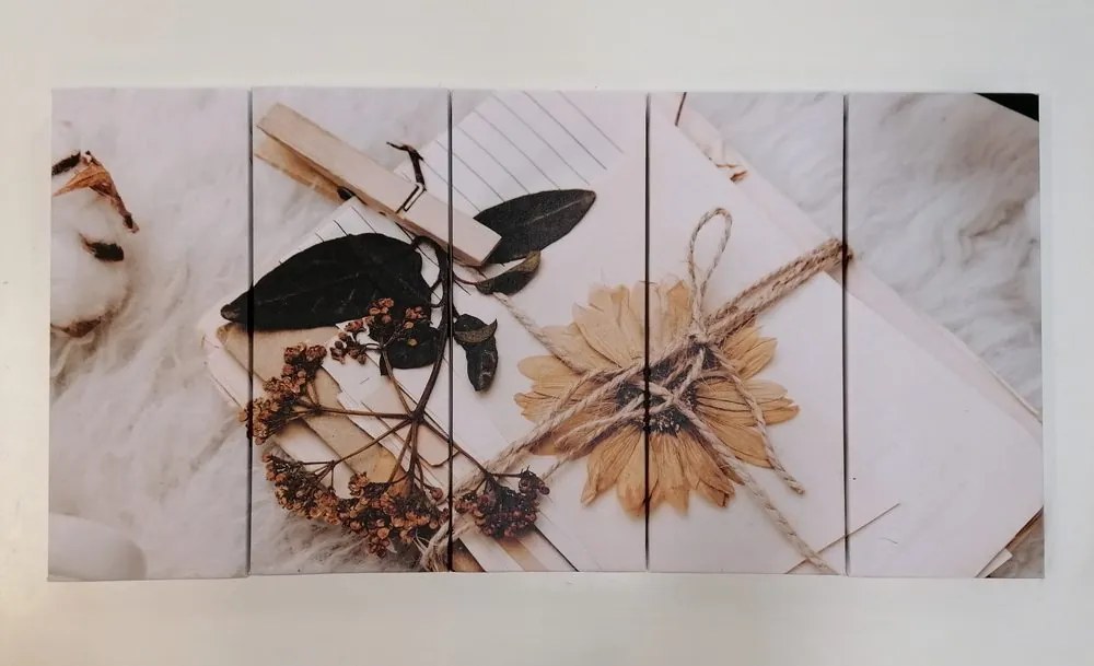 Quadri 5 pezzi – Collezione di foglie antiche