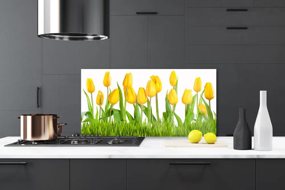 Pannello rivestimento parete cucina Tulipani Sul Muro 100x50 cm