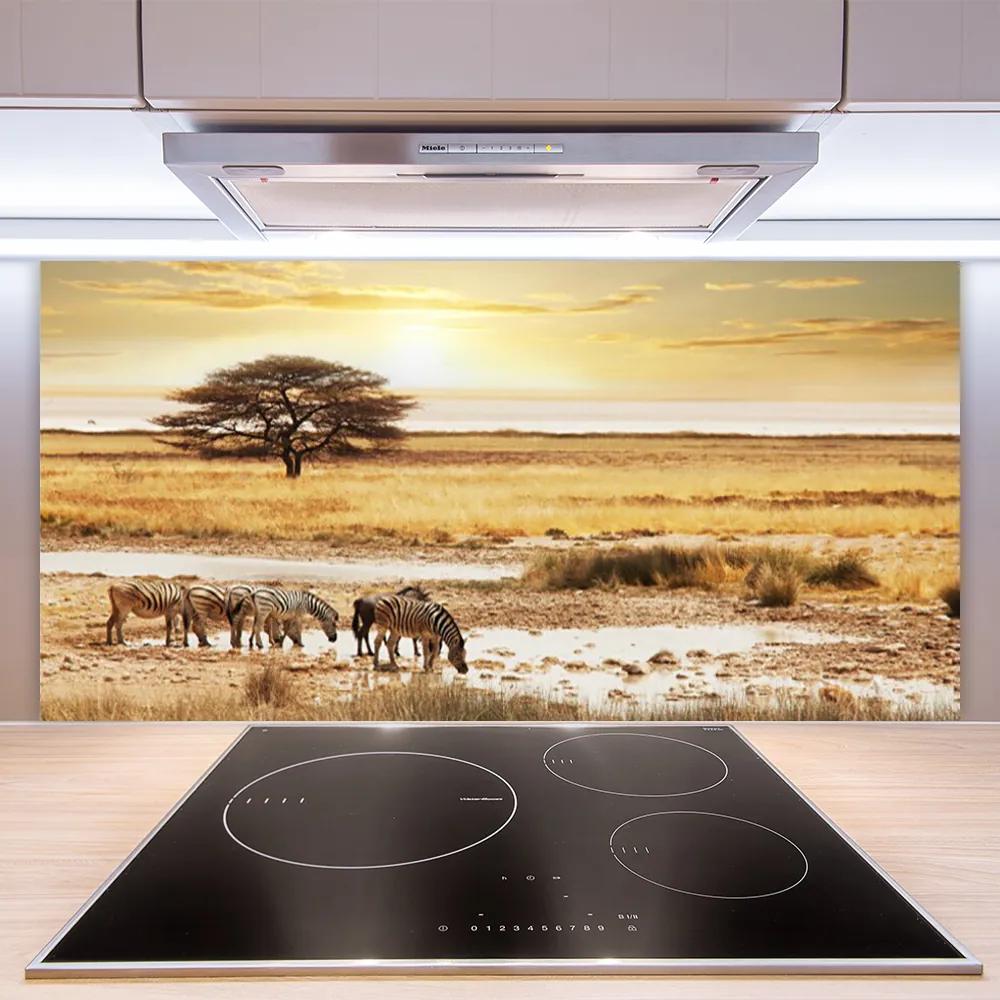Pannello cucina paraschizzi Paesaggio di safari delle zebre 100x50 cm