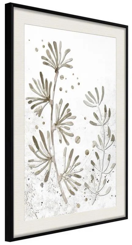 Poster  Dried Plants  Cornice Quadri Cornice nera con pass-partout, Larghezza x Altezza Home decor 40x60