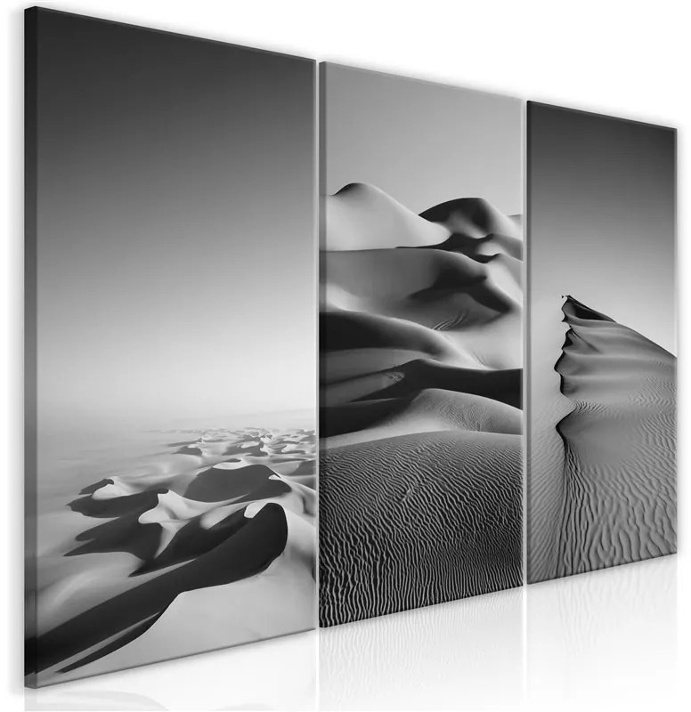 Quadro Desert Landscape (Collection)