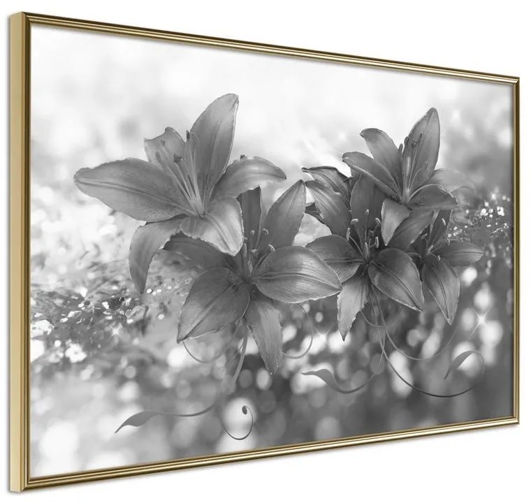 Poster  Dark Lillies  Cornice Quadri Cornice d'oro, Larghezza x Altezza Home decor 30x20