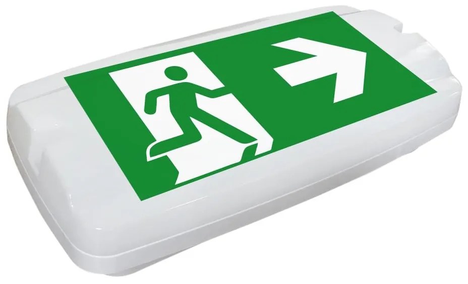 Fulgur 26201 - Luce di emergenza a LED SAFEBOY LED/6W/230V IP65 6500K