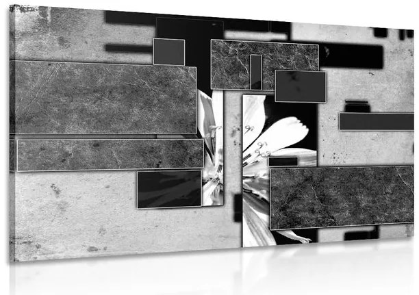 Stampa su tela – Astrazione in bianco e nero