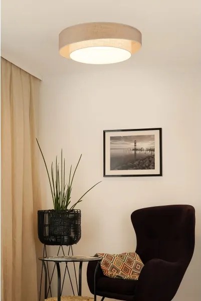 Brilagi - Lampada dimmerabile a LED DOVER SHINE LED/24W/230V grigio/crema + telecomando