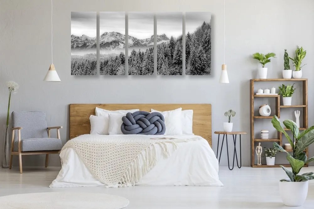 Quadri 5 pezzi – Montagne congelate in bianco e nero
