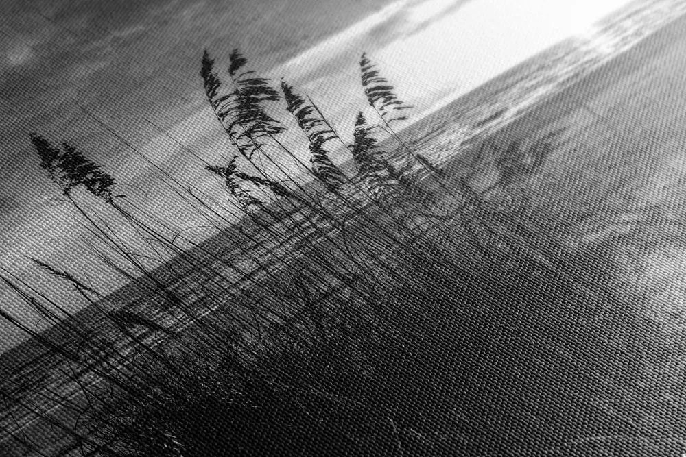 Stampa su tela – Tramonto sulla spiaggia in bianco e nero