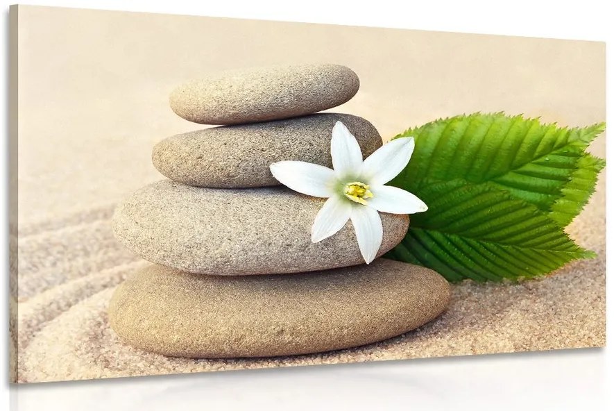Quadro su tela – Fiore bianco e pietre nella sabbia