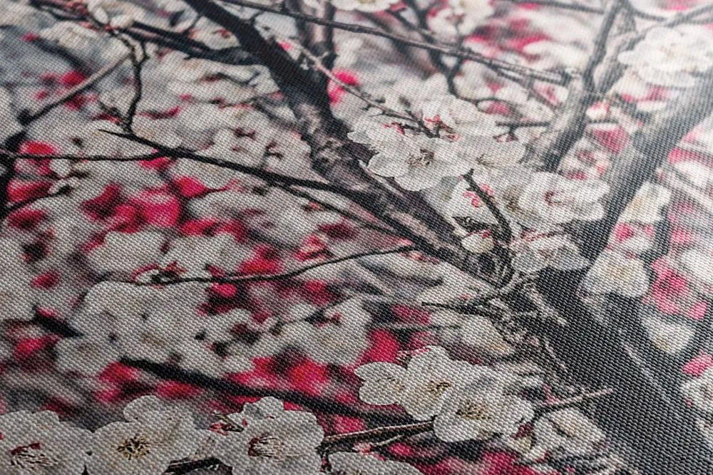 Quadro su tela – Fiori di pesco