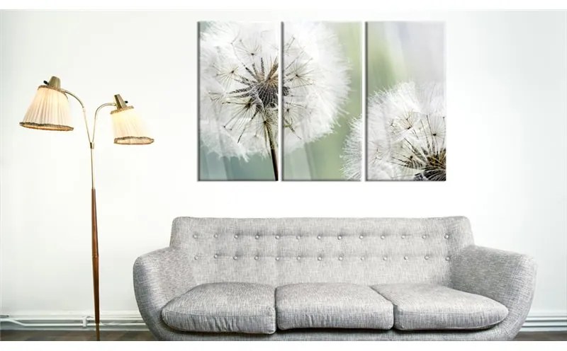 Quadri su vetro acrilico  Fluffy Dandelions [Glass]  Colore Marrone, Dimensioni e Misure 120x80