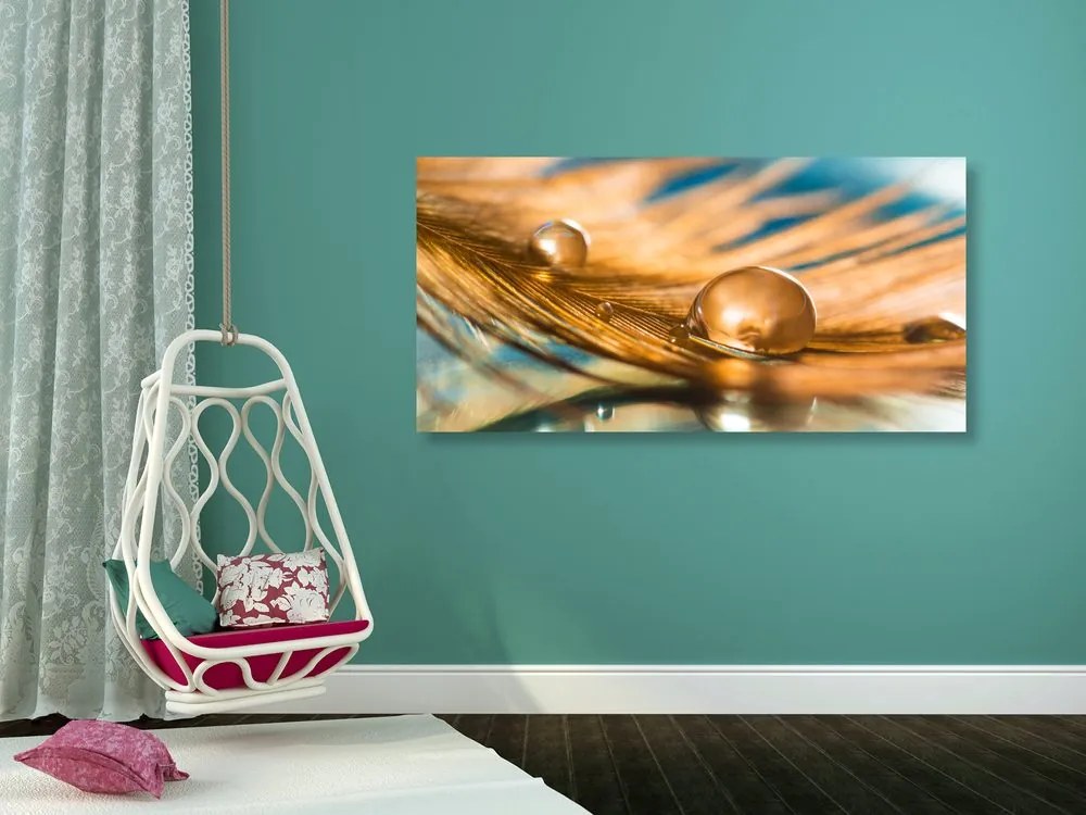 Quadro su tela – Goccia d'acqua su piuma dorata