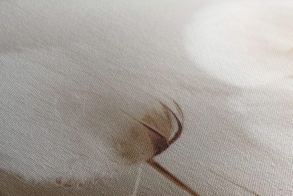Stampa su tela – Steli di cotone