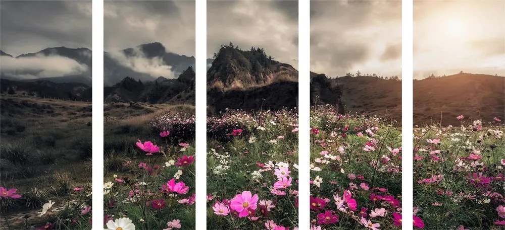 Quadri 5 pezzi – Prato di fiori in fiore