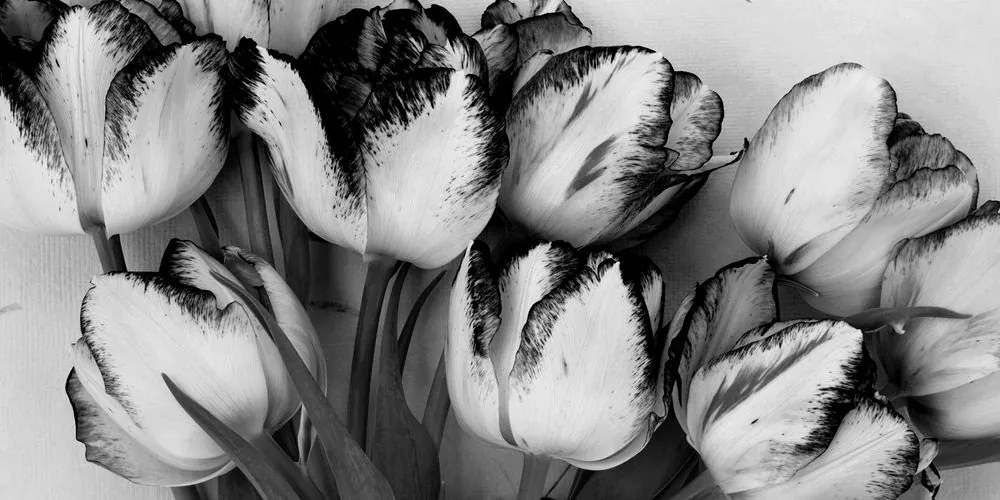 Stampa su tela – Tulipani con tocco primaverile in bianco e nero