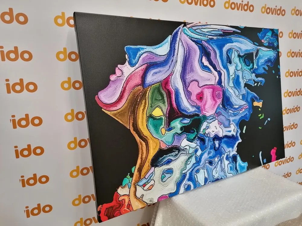 Stampa su tela – Silhouette colorata di volto femminile