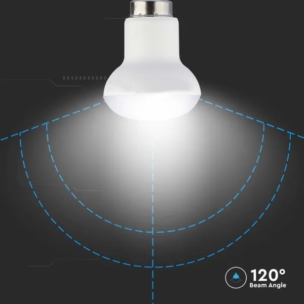 Lampadina LED SAMSUNG CHIP R39 E14/2,9W/230V 6500K