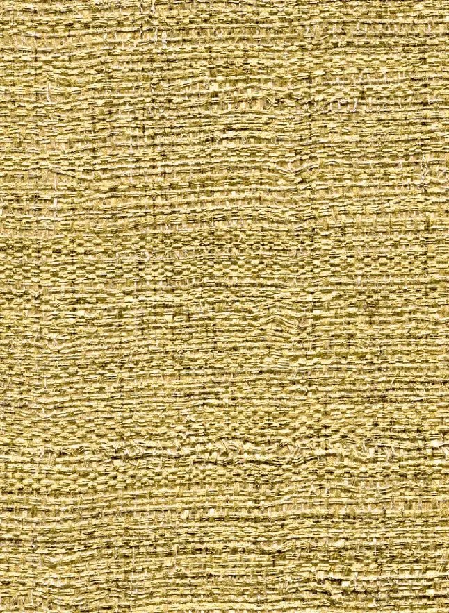 Élitis Carta da parati Madagascar Metal - VP 602 02