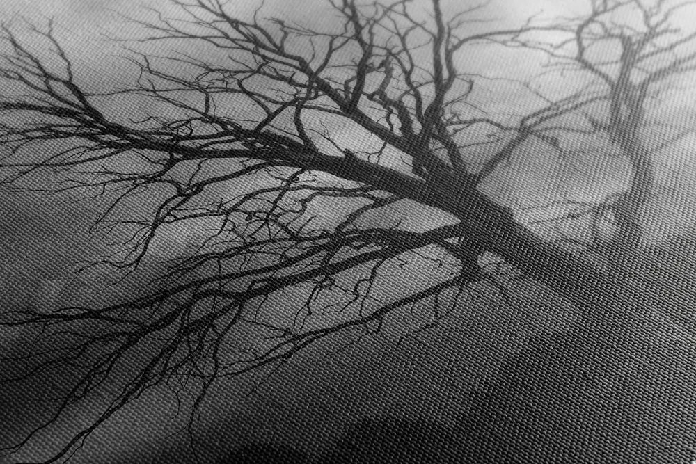 Quadro su tela – Albero sul prato in bianco e nero
