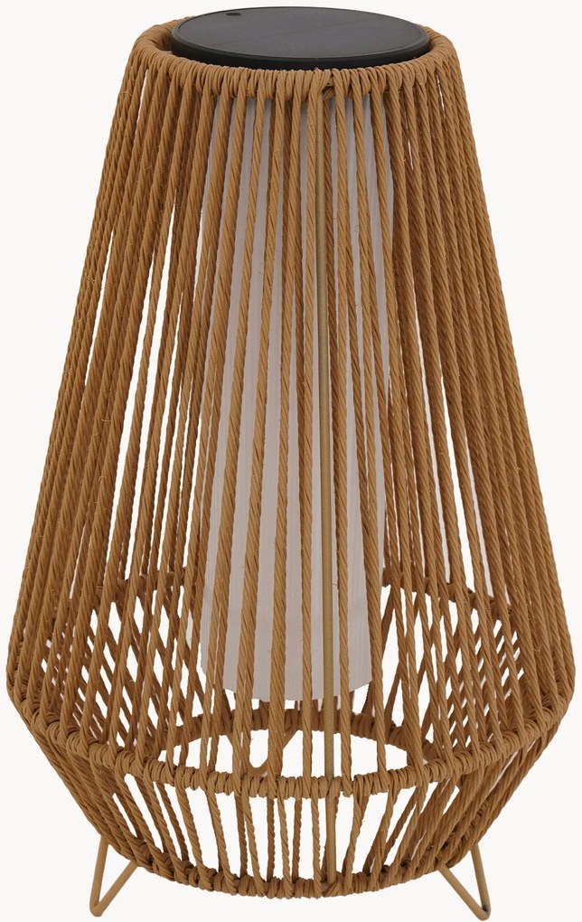 Lampada da terra solare a LED con luce regolabile Salomea Tall