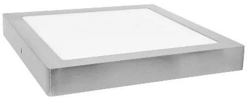 Plafoniera LED RAFA LED/12W/230V 2700K