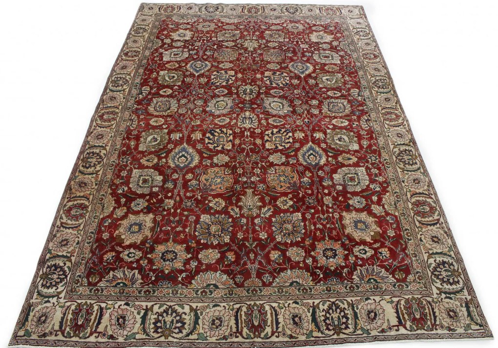 Persian Tappeto 260 x 390 (Keine Angabe)