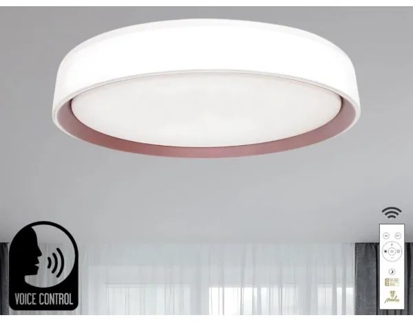 Plafoniera LED dimmerabile con controllo vocale OPAL LED/48W/230V + +TC