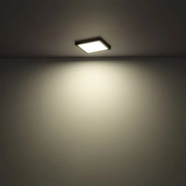 Globo 12380-24W - Plafoniera LED LASSE LED/24W/230V 3000/4000/6500K bianco