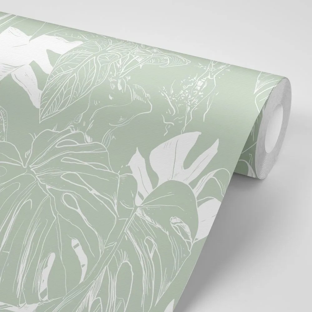 Carta da parati – Monstera insolita