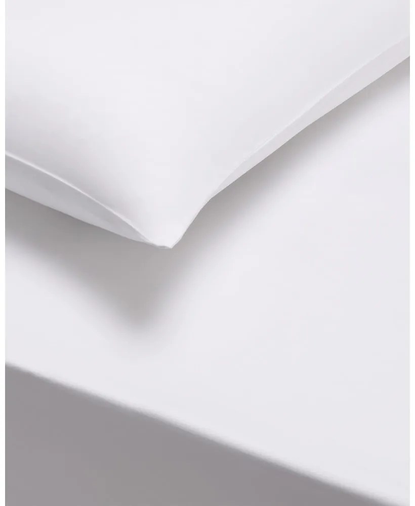 Set di 2 federe in cotone sateen bianco Standard, 50 x 75 cm Cotton Sateen - Bianca