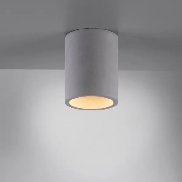 Paul Neuhaus 6160-22 - Faretto ETON 1xGU10/10W/230V