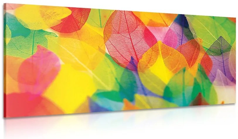 Quadro su tela – Foglie in colori autunnali