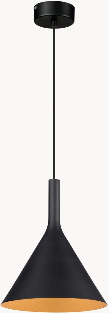 Lampada a sospensione Asia