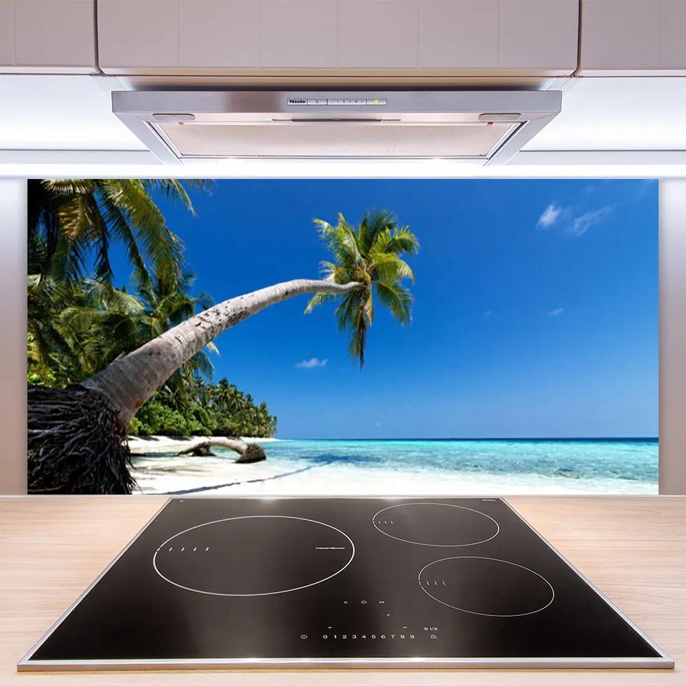 Schienali cucina Paesaggio del mare di Palm Beach 100x50 cm