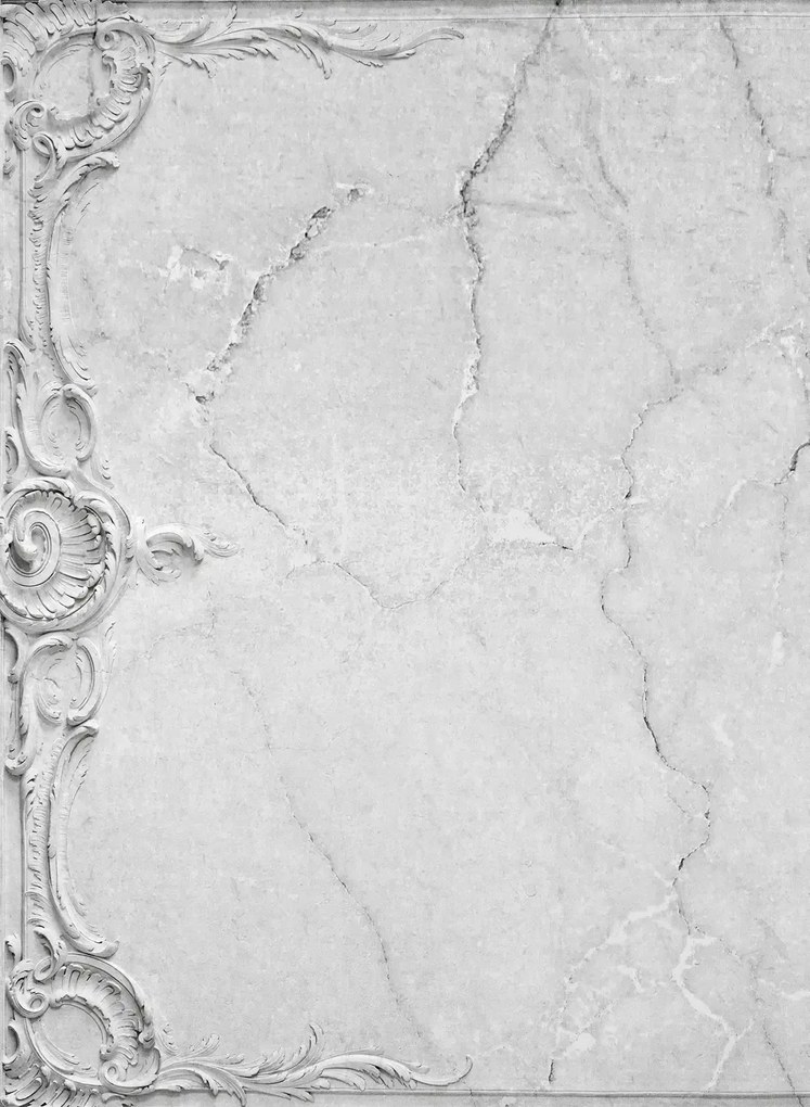 Coordonne Carta da parati panoramica Broken Ceiling - Grey