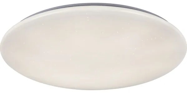 Rabalux 5445 - Plafoniera LED dimmerabile DANNY LED/36W/230V + telecomando